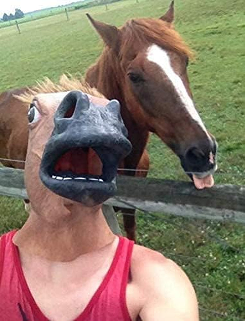 horse man head